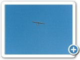 1985_zellik_8724