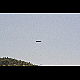 2011-04-09_Mazee_8954.jpg