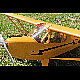 2011-05-05_Piper_Cub_J3_9558.jpg