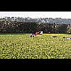 2011-11-12_Mazee_3461.jpg