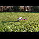 2011-11-12_Mazee_3462.jpg