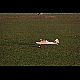 2011-11-19_Mazee_3546.jpg