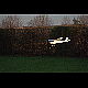 2011-11-19_Mazee_3552.jpg