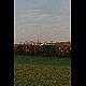 2011-11-19_Mazee_3554.jpg
