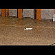 2011-12-24_Oignies_3852.jpg