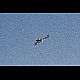 2012-03-15_Mazee_4573.jpg