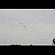 2012-04-28_Mazee_4818.jpg