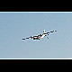 2012-05-27_Mazee_0552.jpg