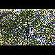 2012-08-11_Mazee_3199.jpg