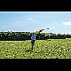 2012-08-12_Mazee_3295.jpg