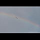 2012-08-23_Mazee_3732.jpg