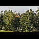 2012-09-15_mazee_4363.jpg