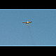 2012-09-16_Mazee_4426.jpg
