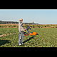 2012-09-30_Mazee_4520.jpg