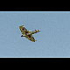 2012-10-21_Mazee_4685.jpg