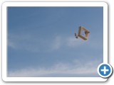 2012-02-22_mazee_4326