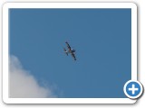 2012-08-09_mazee_3052