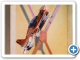 2012-11-11_couvin_4976