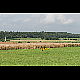2012-07-28_mazee_2582.jpg