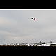 2013-01-19_Mazee_5413.jpg