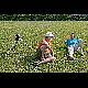 2013-06-08_Mazee_8725.jpg
