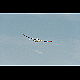 2013-07-27_Mazee_9564.jpg