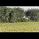 2013-07-27_Mazee_9569.jpg