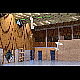 2013-10-13_Oignies_1735.jpg