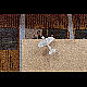 2013-10-13_Oignies_1750.jpg