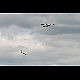 2013-07-31_mazee_9853.jpg