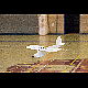 2014-01-19_2734_couvin.jpg