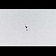 2014-03-07_4355_mazee.jpg