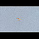 2014-03-07_4366_mazee.jpg
