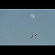2014-03-12_4422_mazee.jpg