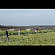 2014-03-29_4495_mazee.jpg