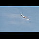2014-05-04_5087_mazee.jpg