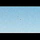 2014-05-17_5281_mazee.jpg