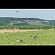 2014-07-18_5973_mazee.jpg