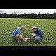 2014-08-27_6765_mazee.jpg