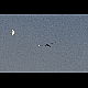 2014-11-01_7574_mazee.jpg
