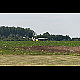 2015-08-02_1186_bauffe.jpg