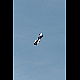 2015-08-02_1197_bauffe.jpg