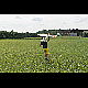 2015-08-30_1674_mazee.jpg