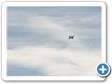 2015-06-28_0449_mazee