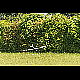 2016-06-19_5387_mazee.jpg