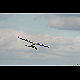 2016-07-16_5737_mazee.jpg