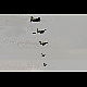 2016-08-04_6080-92_mazee.jpg