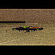 2016-12-18_7403_couvin.jpg