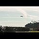 2017-03-26_7907_mazee.jpg