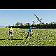 2017-10-15_9950_mazee.jpg